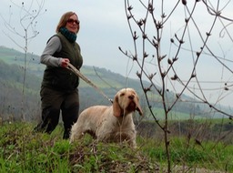 IMG_2617 - Arbeitskopie 2